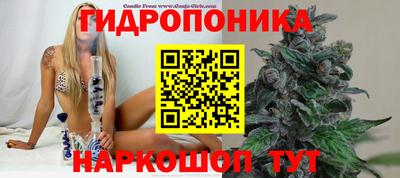 ГАЛЛЮЦИНОГЕННЫЕ ГРИБЫ Моздок