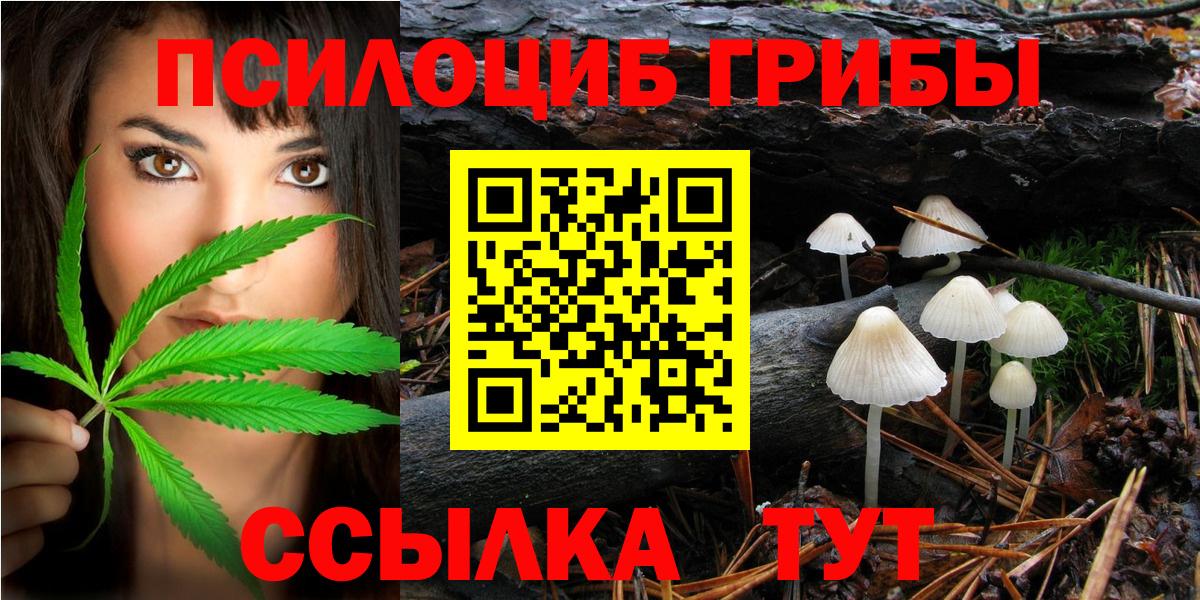 Великий Новгород  Псилоцибиновые грибы Magic Shrooms  Вход с VPN 
