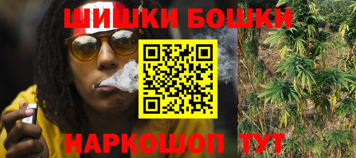Бошки Шишки планчик Великий Новгород